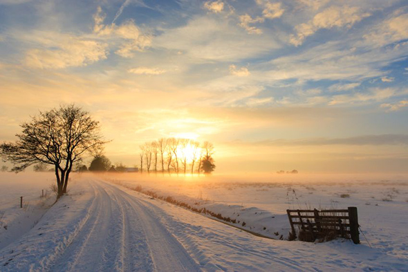 B&B landscape in wintertime bed & breakfast snowy landschape