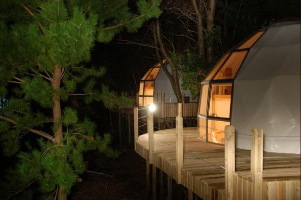 Experience a magical Christmas in a bed &amp; breakfast - Bed and Breakfast