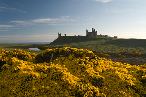Bed and Breakfast nell'Inghilterra del Nord B&B Northumberland