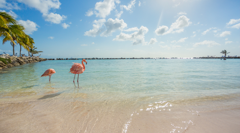 bed and breakfast aruba top ziele im weltweiten angebot von b bs bedandbreakfast eu bed and breakfast aruba top ziele im weltweiten angebot von b bs bedandbreakfast eu